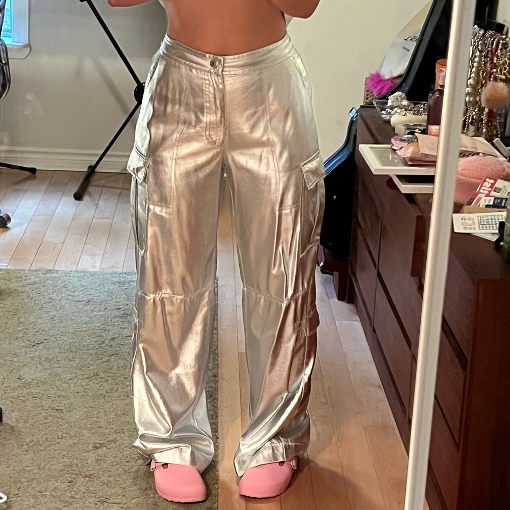 Metallic Silver Zara Pants